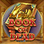 Book of Dead: Tietoa pelistä