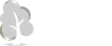 https://www.co2neutralwebsite.fi/certificate/5911/fi