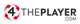 4ThePlayer Developer