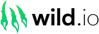 Wild.io Casino