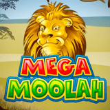 Mega Moolah – Tietoa pelistä
