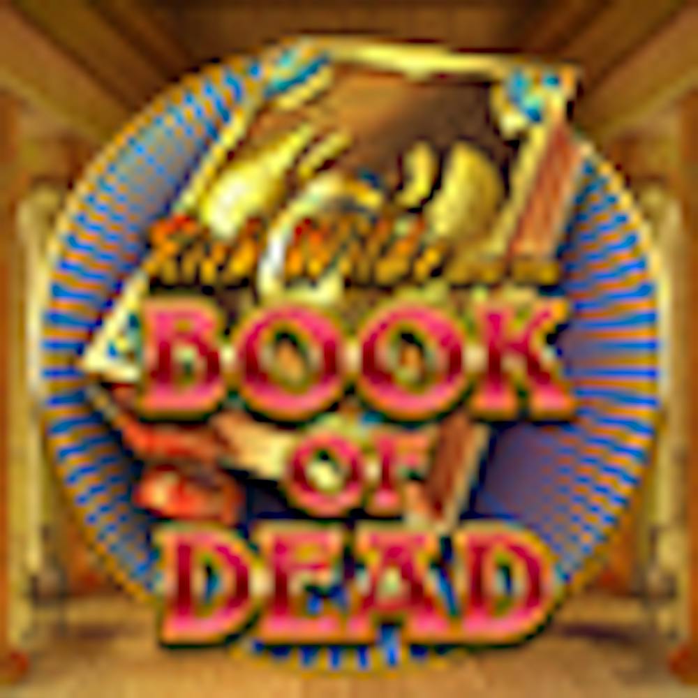 Book of Dead: Tietoa pelistä logo