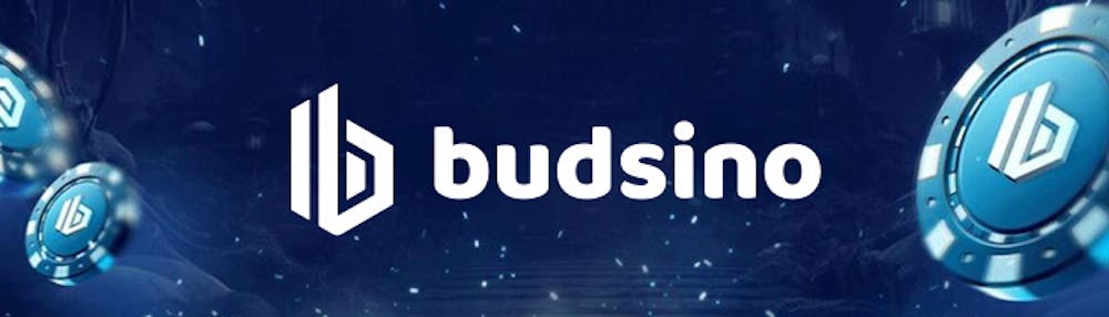 budsino logo banner