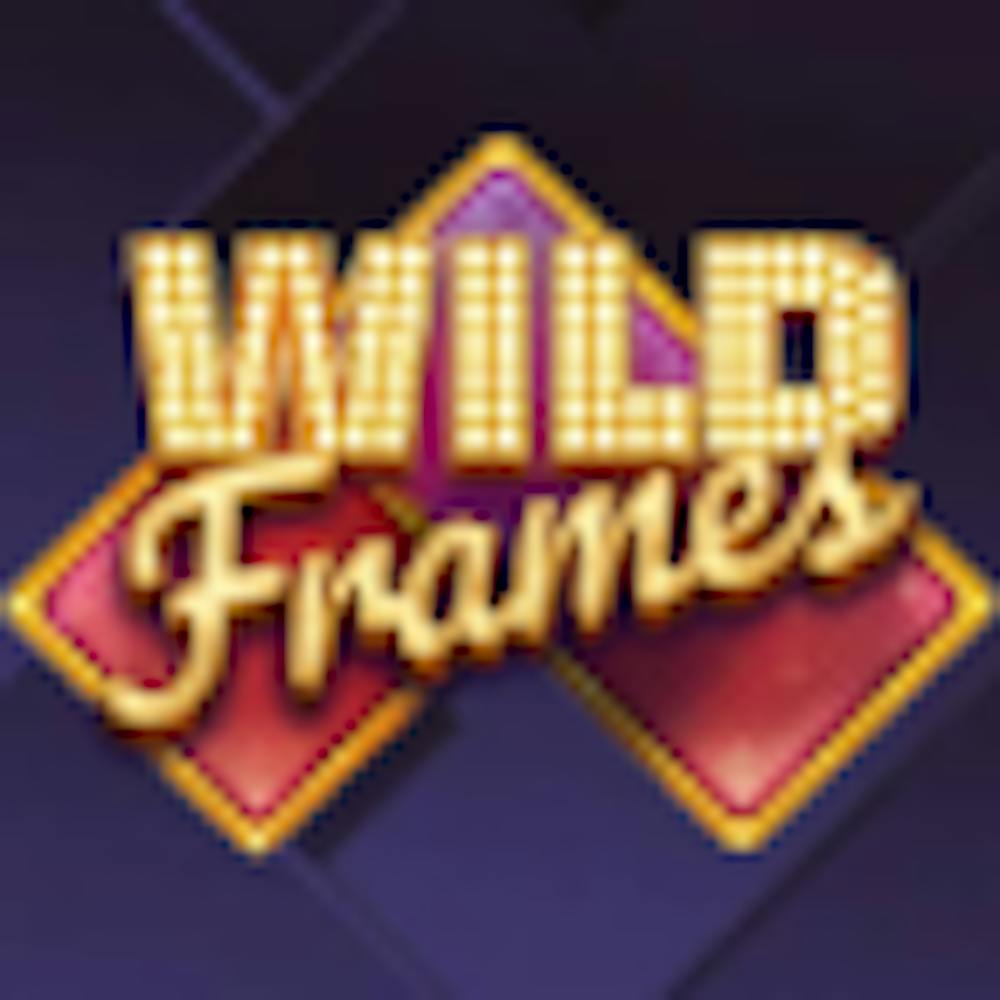 Wild Frames: Tietoa pelistä logo