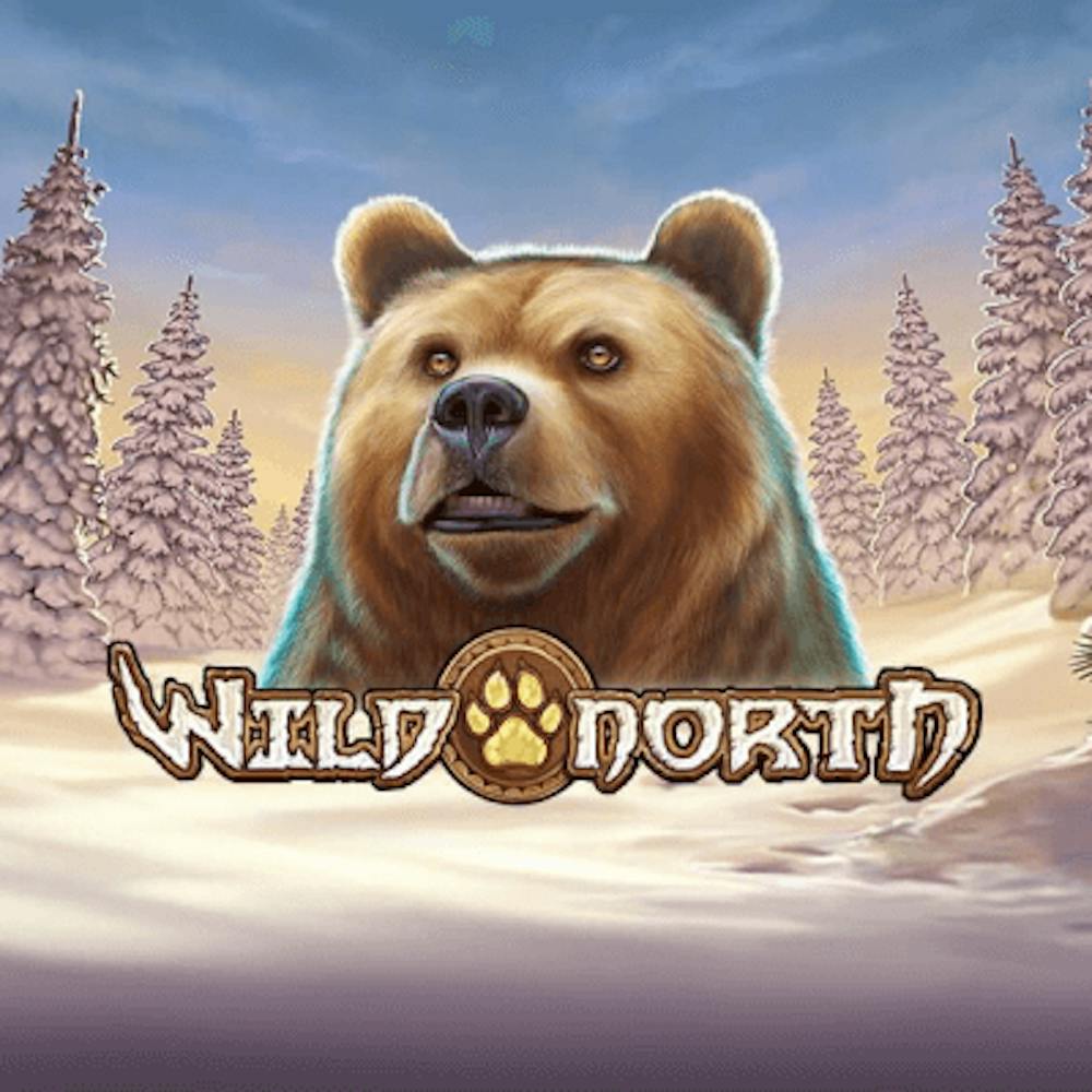 Wild North: Tietoa pelistä logo