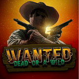 Wanted Dead or a Wild – Tietoa pelistä
