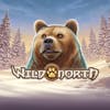 Wild North Erähenkinen seikkailupeli keskitason volatiliteetilla.