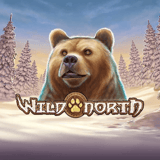 Wild North Erähenkinen seikkailupeli keskitason volatiliteetilla.